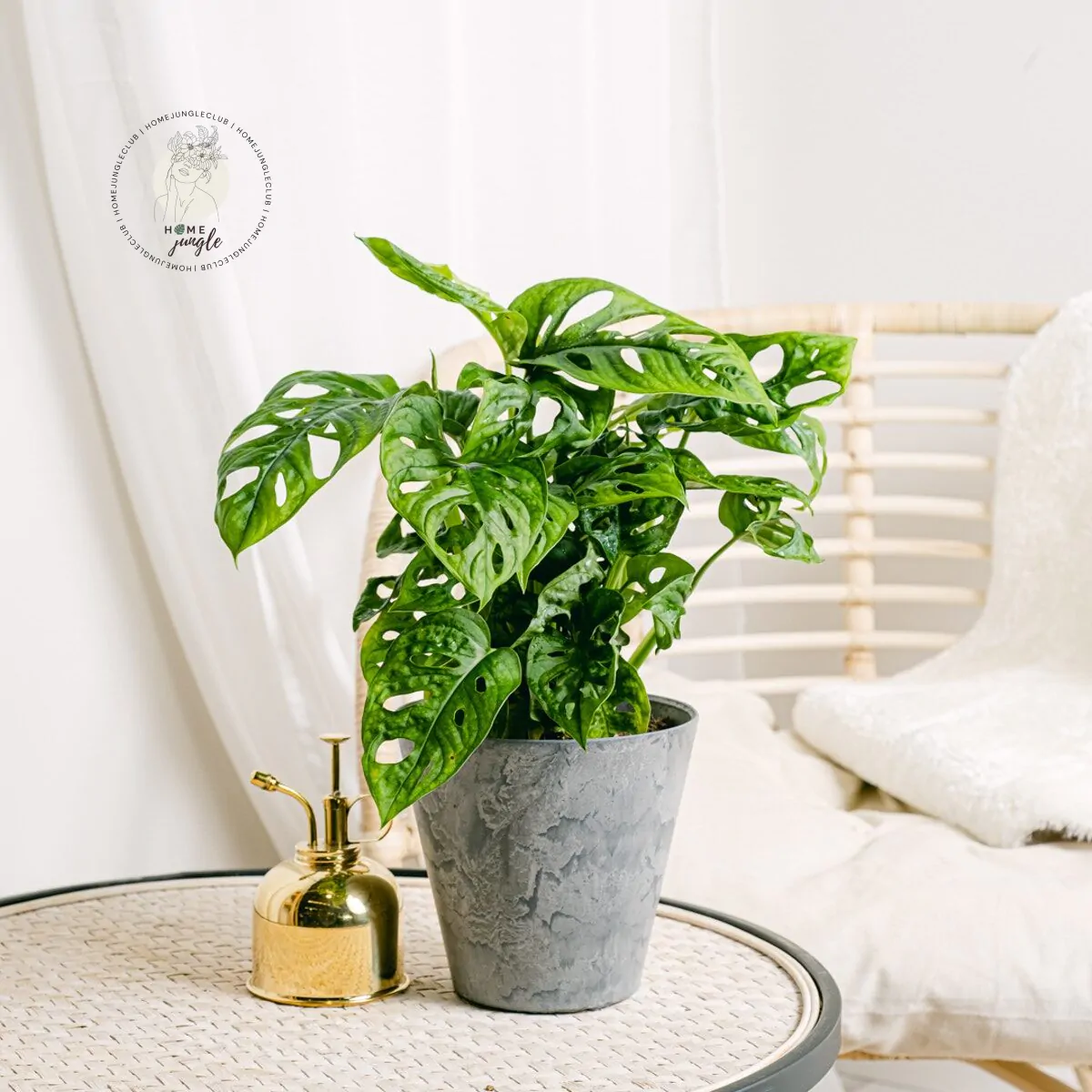 Monstera Monkey Mask - obrazek 3